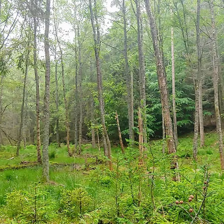 Sielskie 別荘 Sławutowo