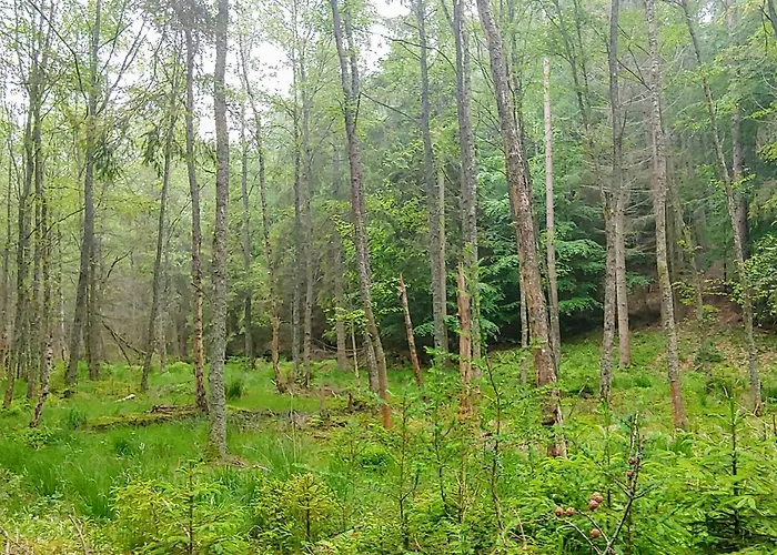 Sielskie Ferienhaus Slawutowo